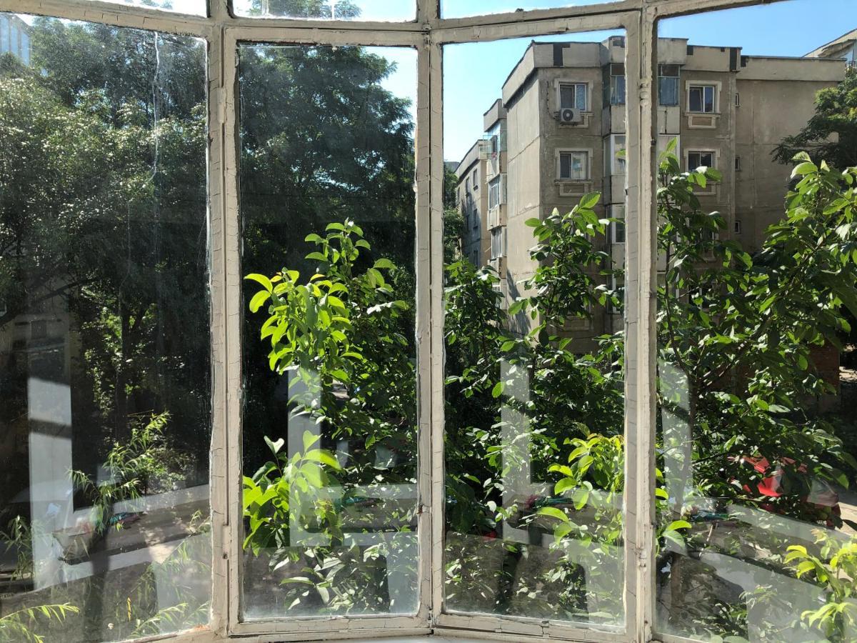Le Garcon De Cristina-Simple,Quiet,Spacious Studio 부쿠레슈티 외부 사진